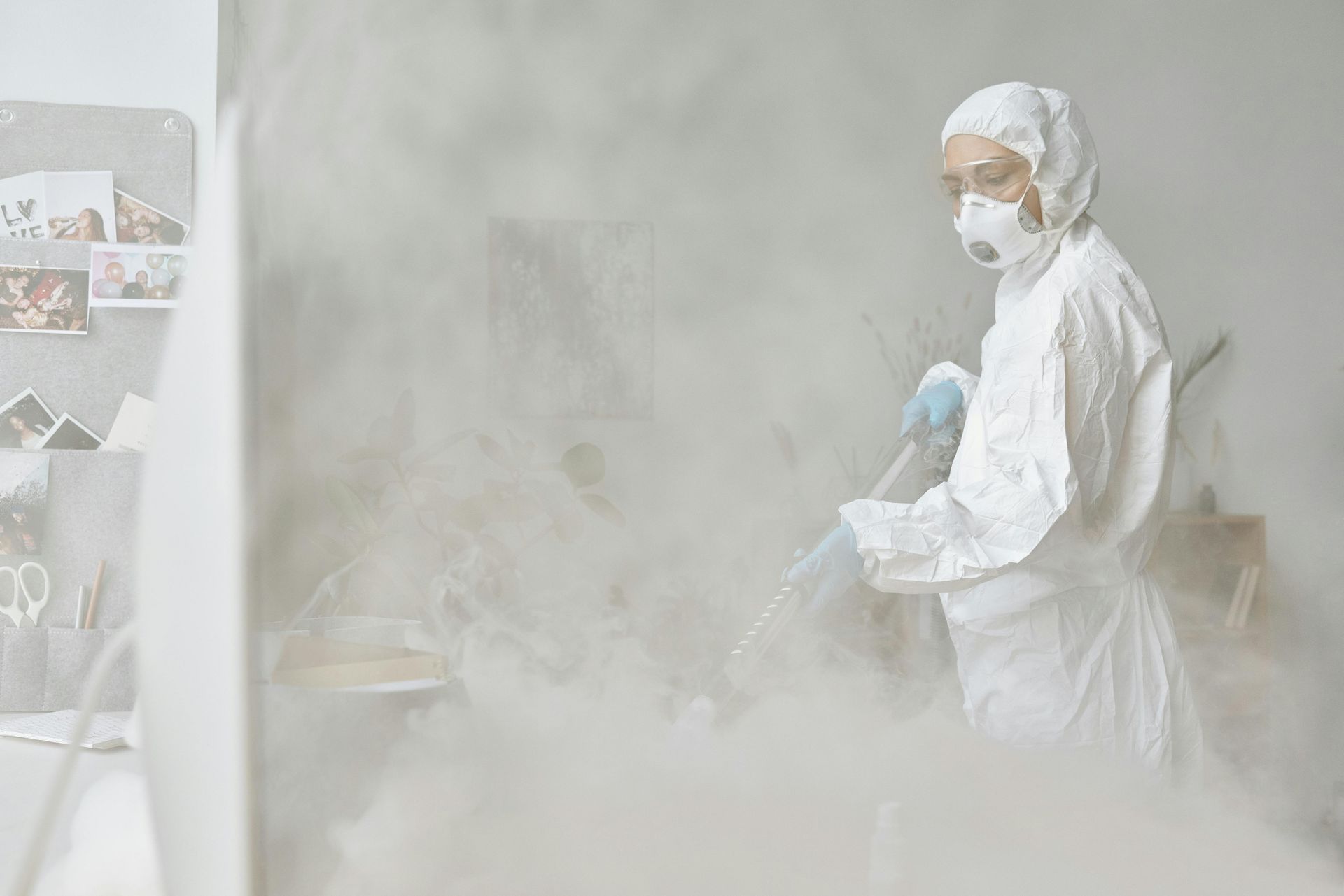 trusted exterminator in Queens, NY
