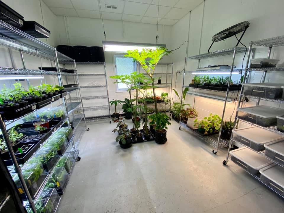 A room filled with lots of potted plants and shelves.