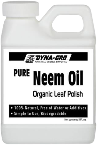 A bottle of pure neem oil organic leaf polish