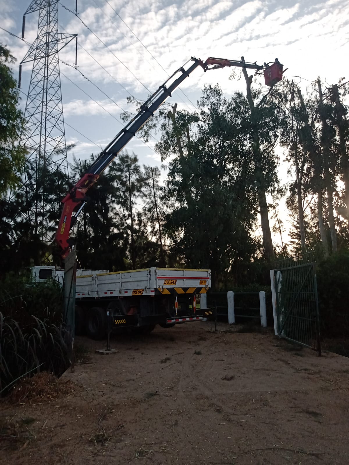 Alquiler de grúas canastilla