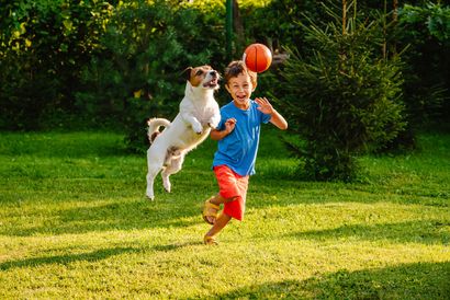 A boy and a dog are playing with a ball in a yard.