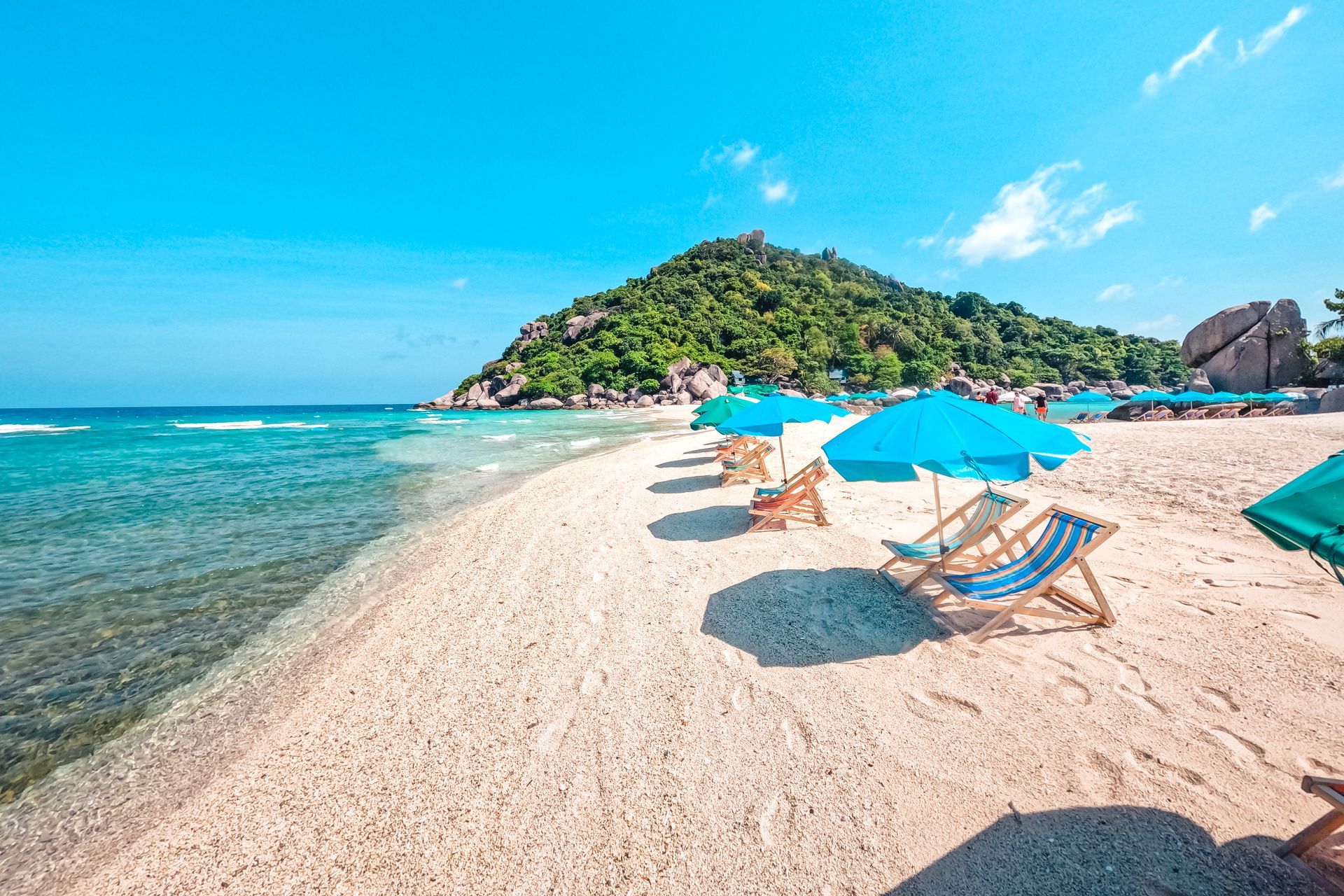 Koh Tao and Koh Nang Yuan Speedboat Tour