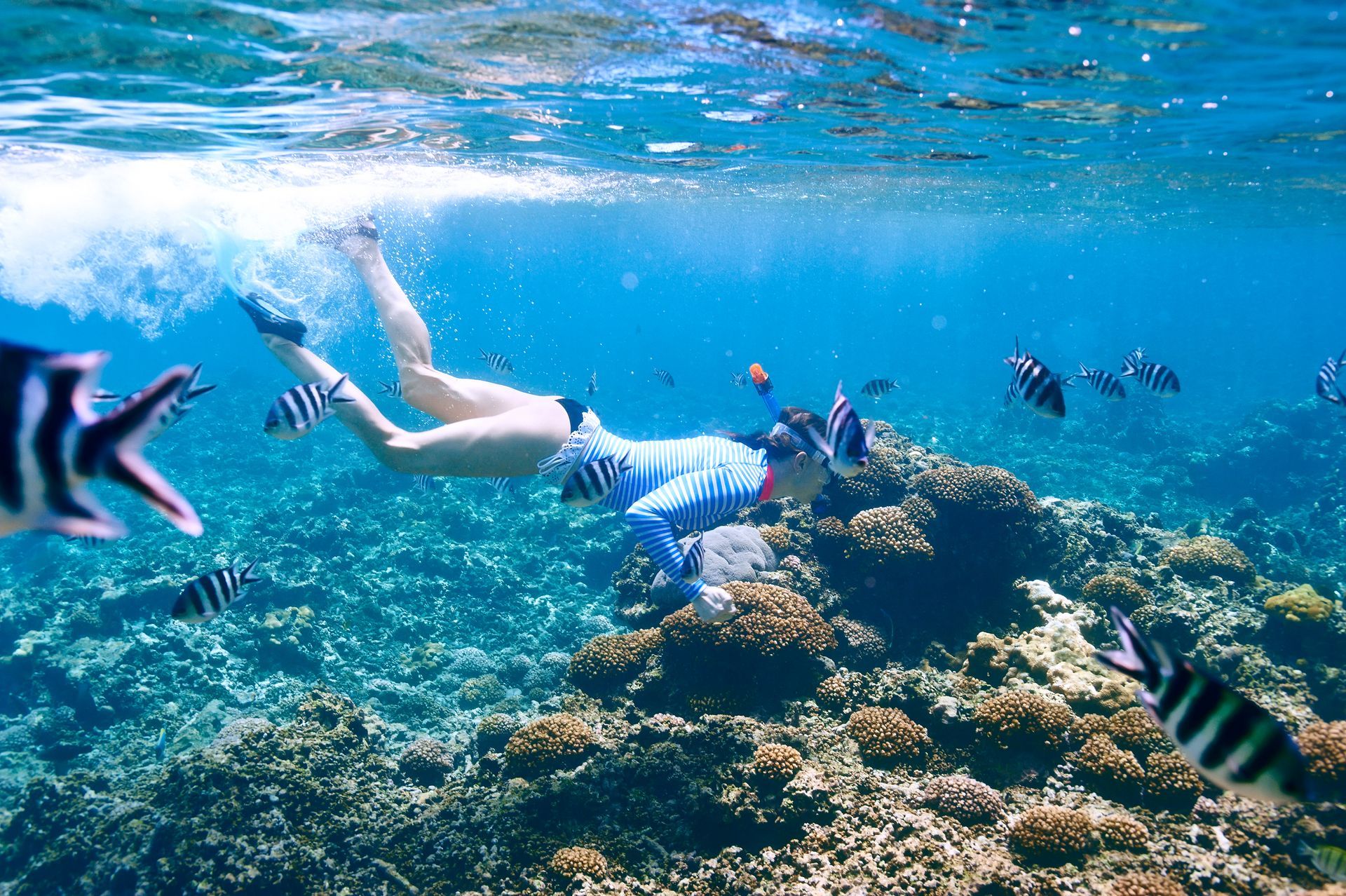 Snorkeling From Koh Phangan