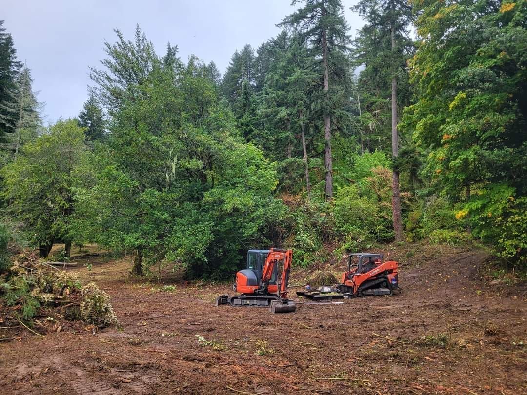 A couple of tractors are sitting in the middle of a forest.