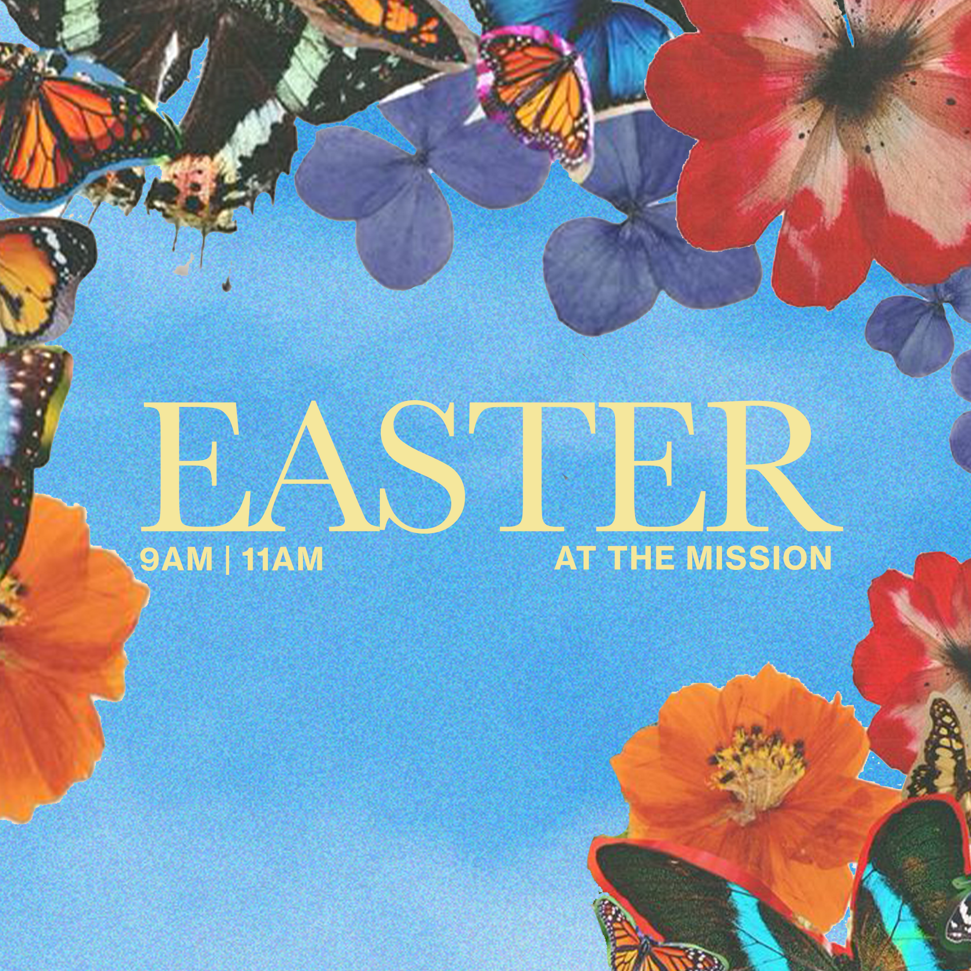 Easter at The Mission 
9am + 11am