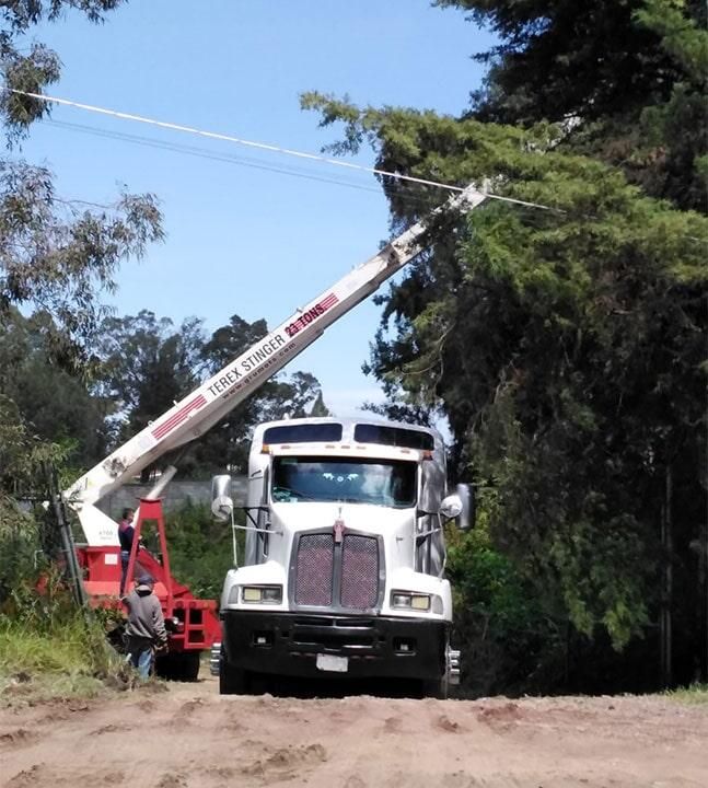 Plataformas de tráiler, torton y camionetas de 3 1/2 toneladas