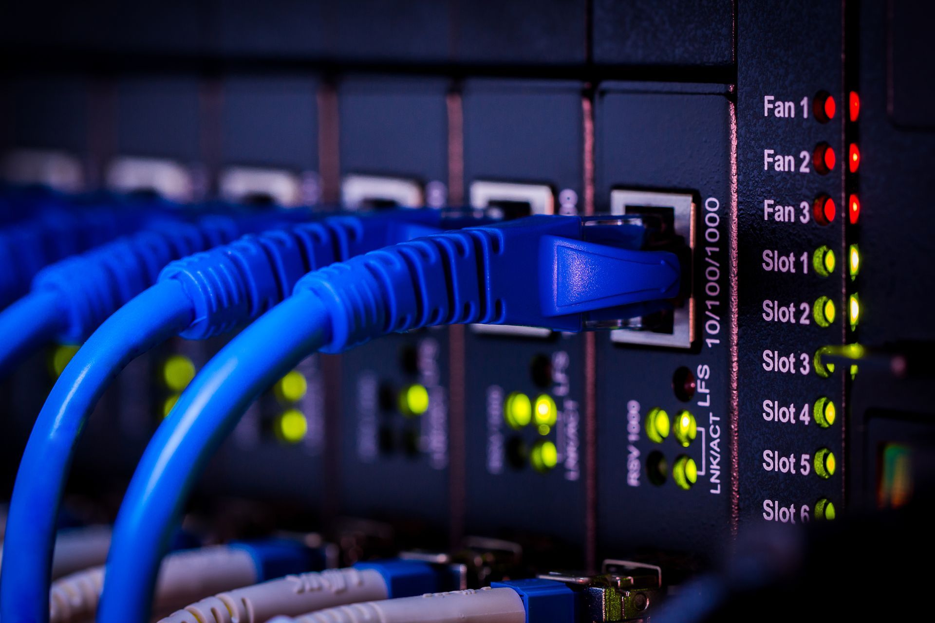 A bunch of blue wires are connected to a server.