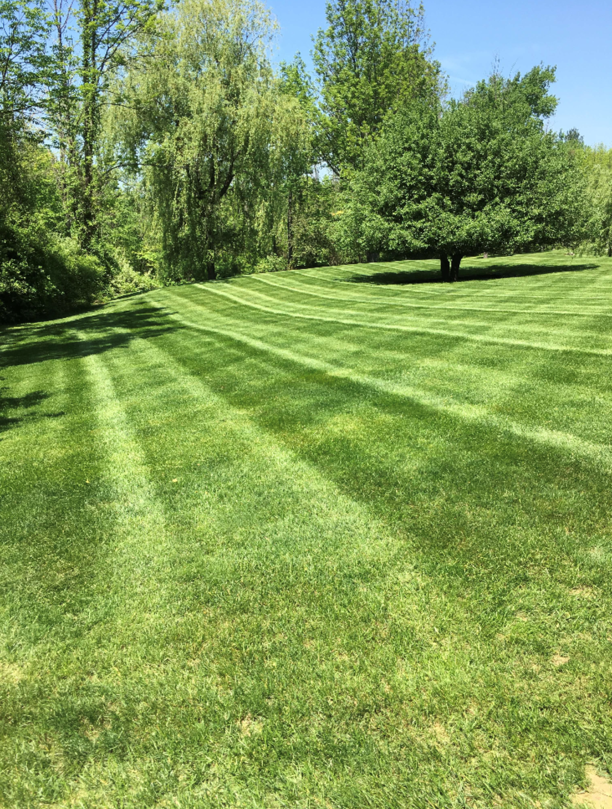 Lawn Mower — Canaan, CT — Strong Oak Landscaping