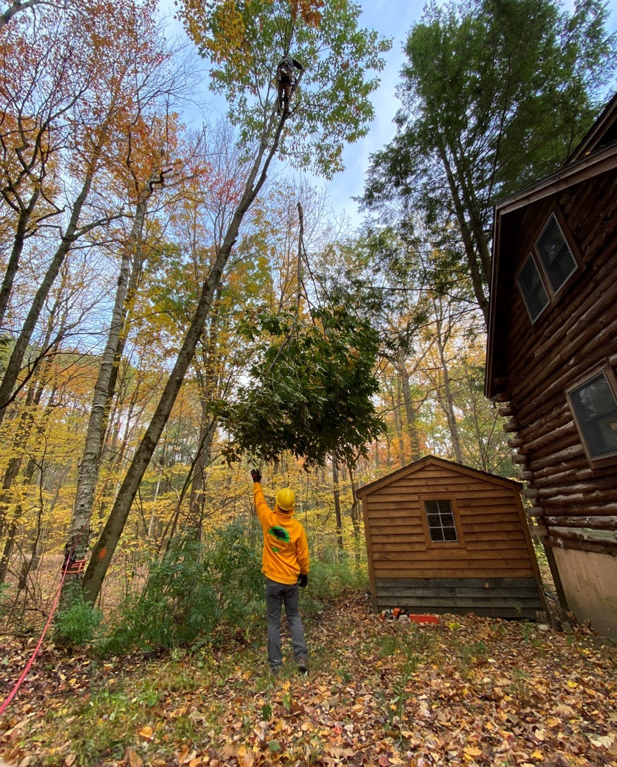 Tree Showered — Canaan, CT — Strong Oak Landscaping
