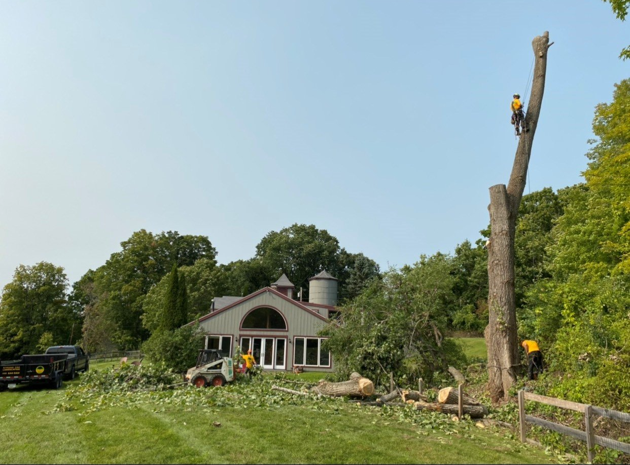 Tree Work — Canaan, CT — Strong Oak Landscaping