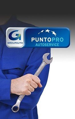 Punto Pro authorised garage