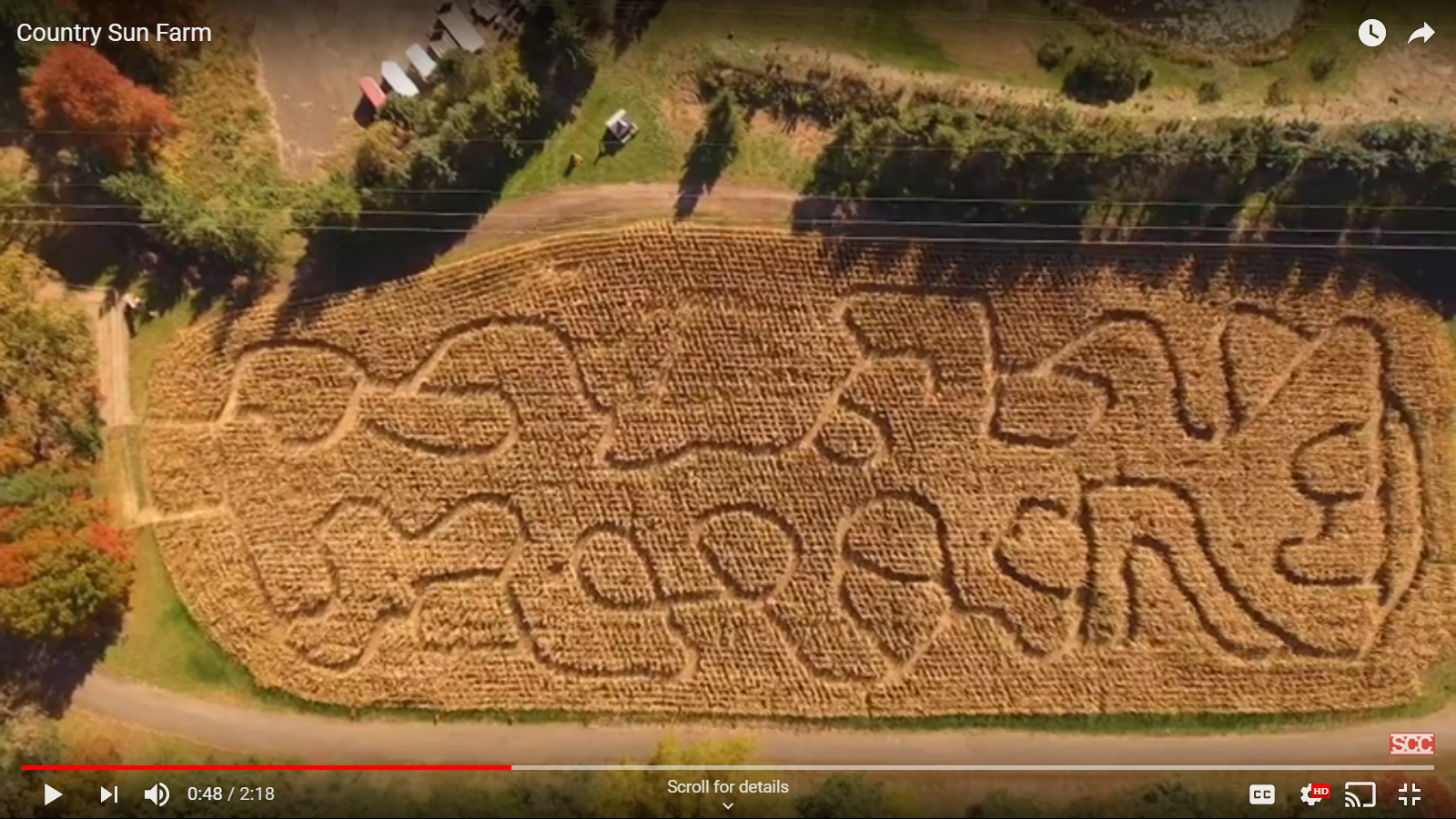An aerial view of a large pumpkin maze