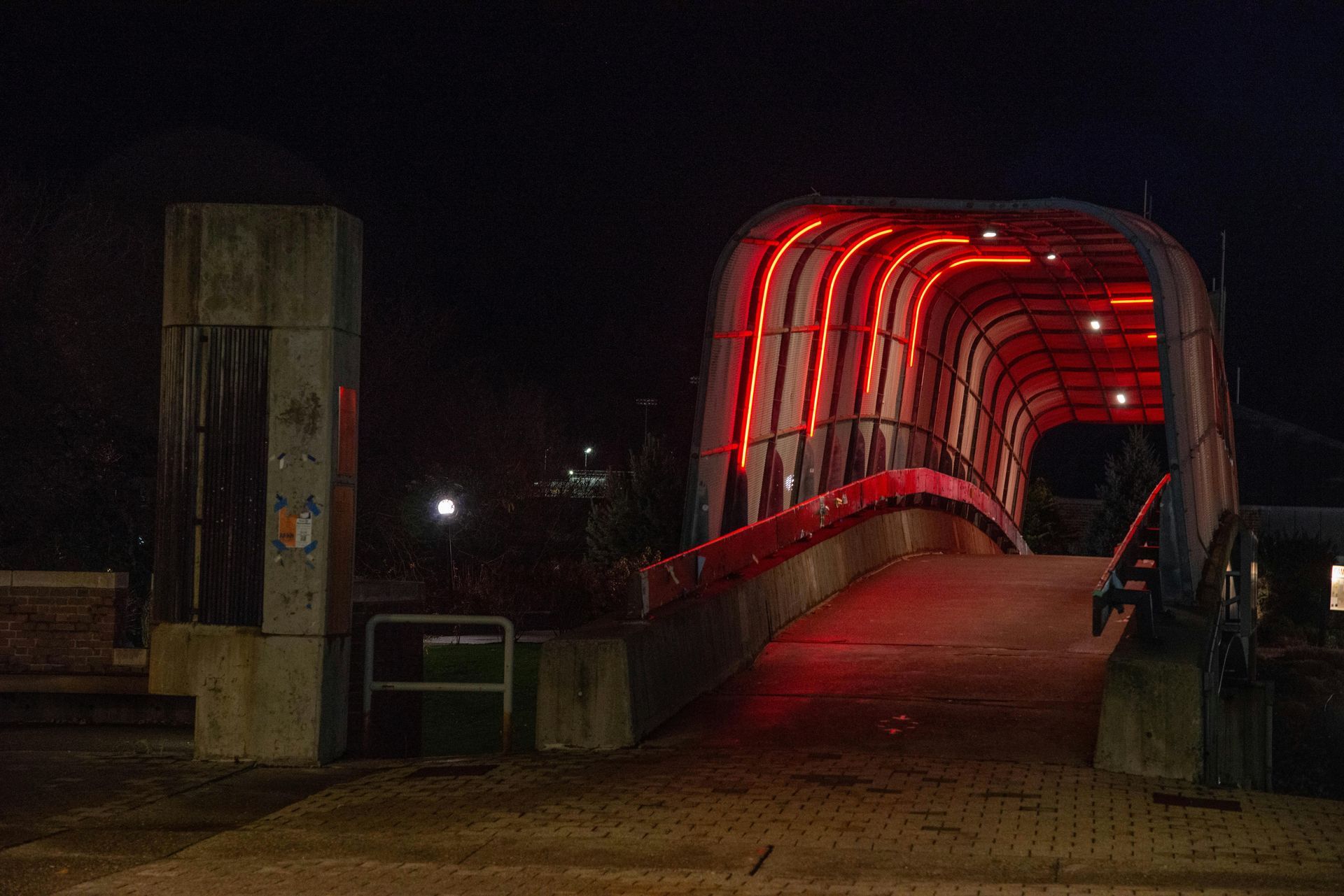 LED Lights vs. LED Strip Lights: What’s the Difference
