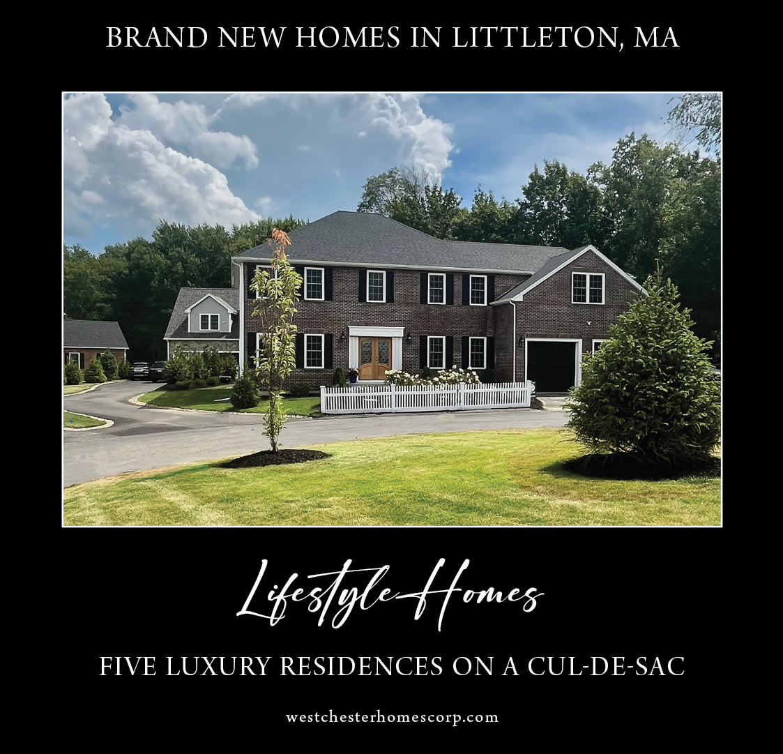 Brochure for The Homes at Wellington Drive, Littleton