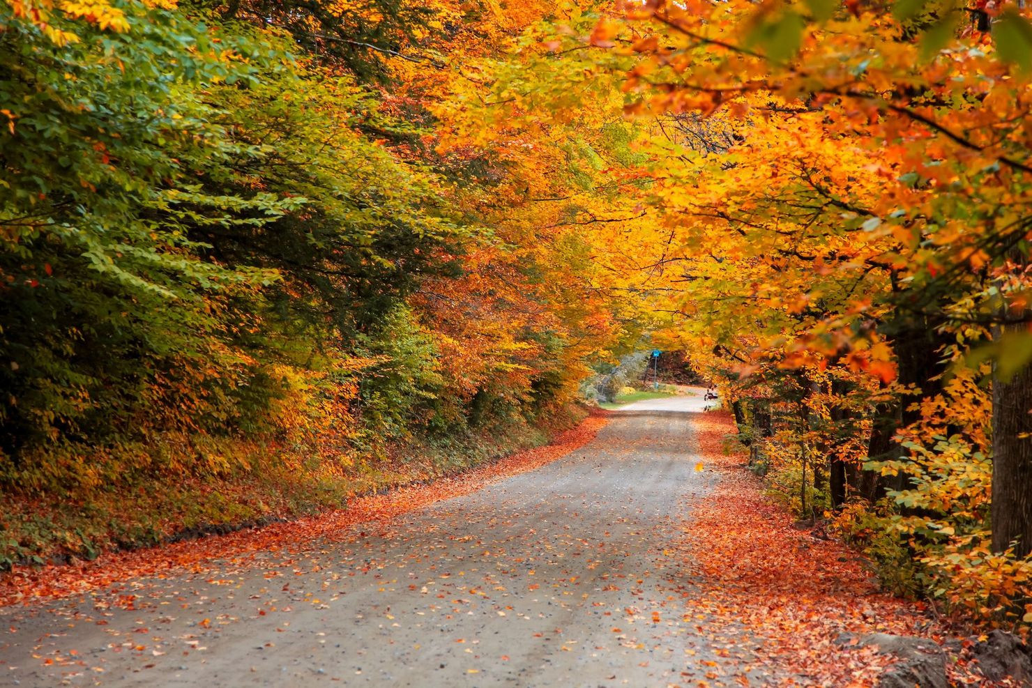 Funeral Home in Rutland, VT | Tossing Funeral Home Inc.