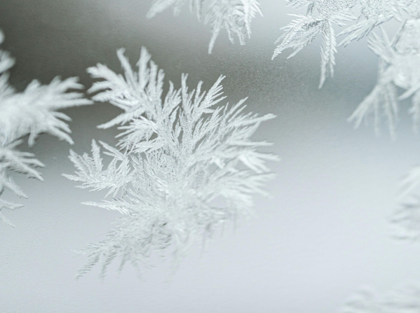 I love the idea of a new start—a chance to be better, do better, spread more love and compassion and