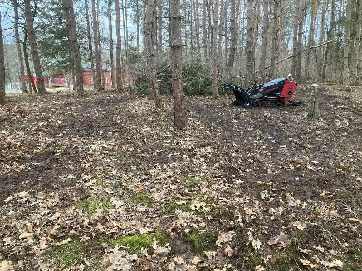 Tree & Brush Removal 10