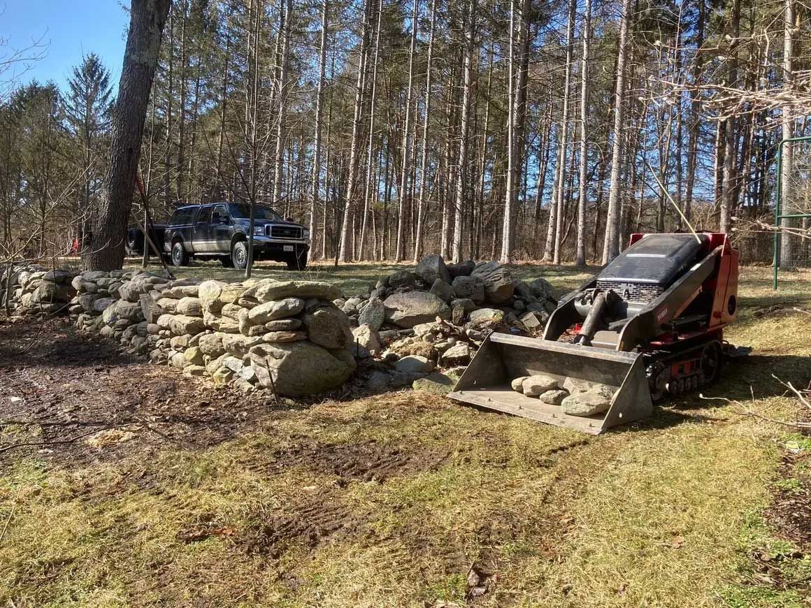 Tree & Brush Removal 13