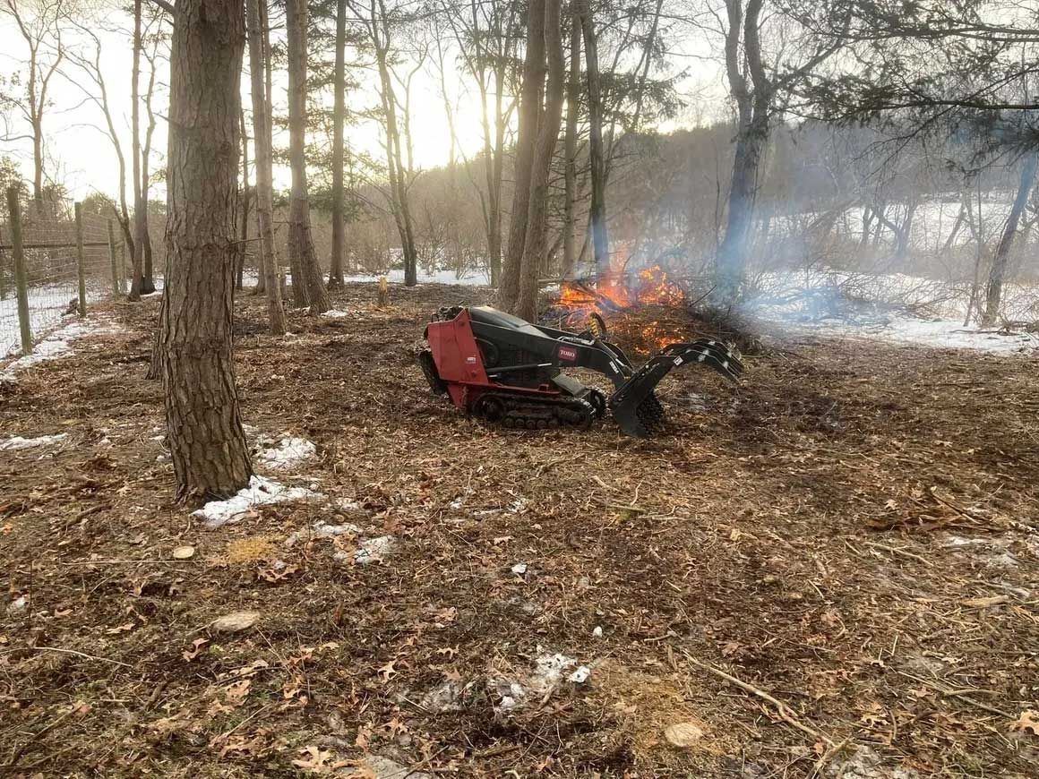 Tree & Brush Removal 14