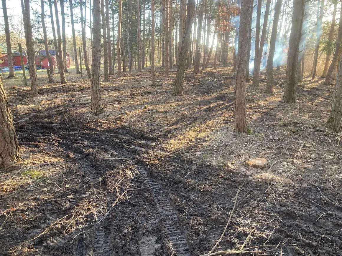 Tree & Brush Removal 2