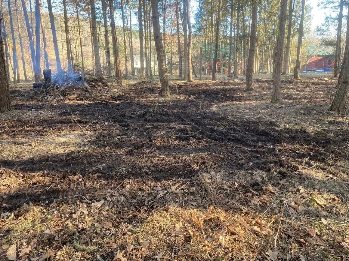 Tree & Brush Removal 5