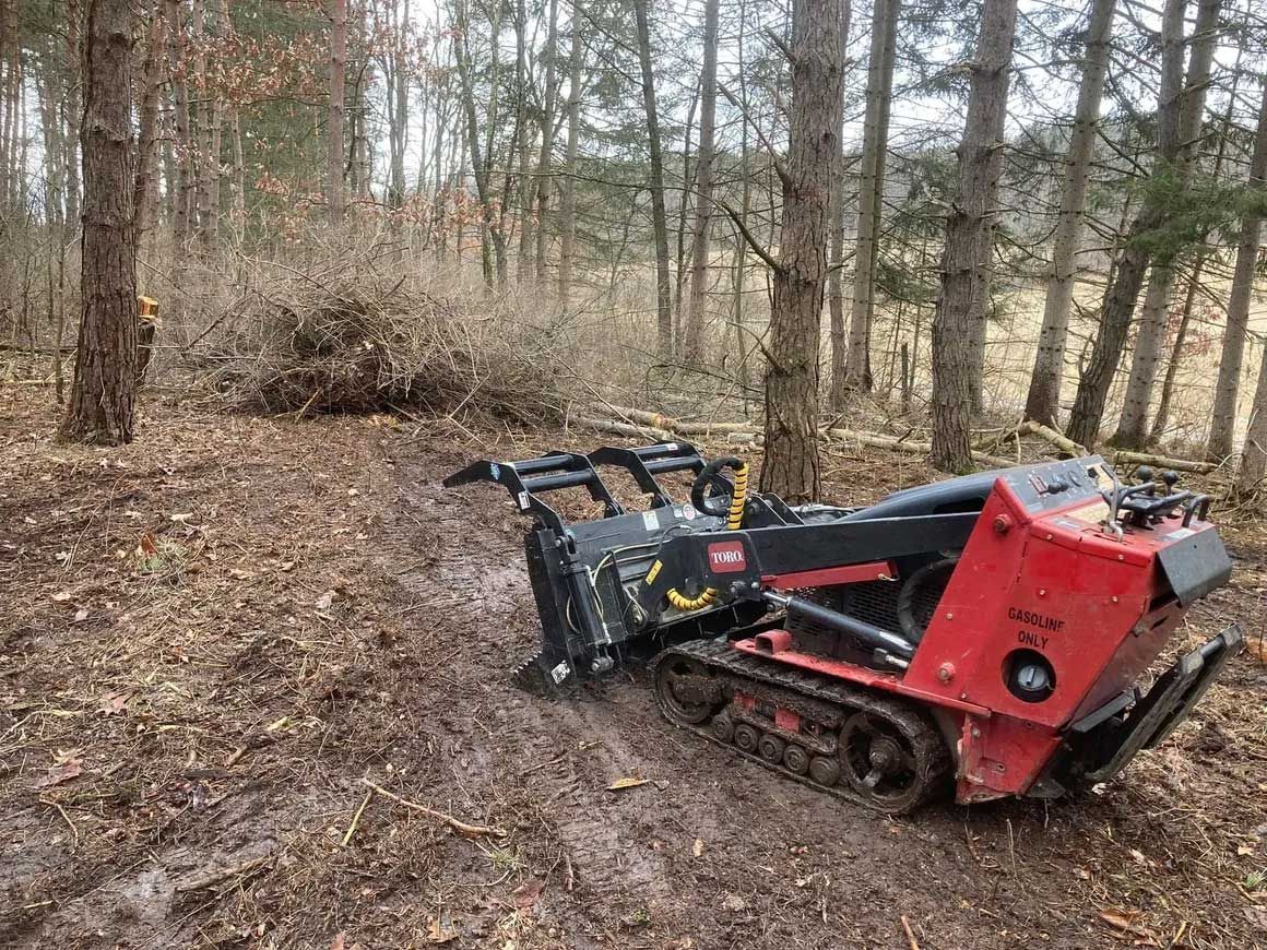 Tree & Brush Removal 6