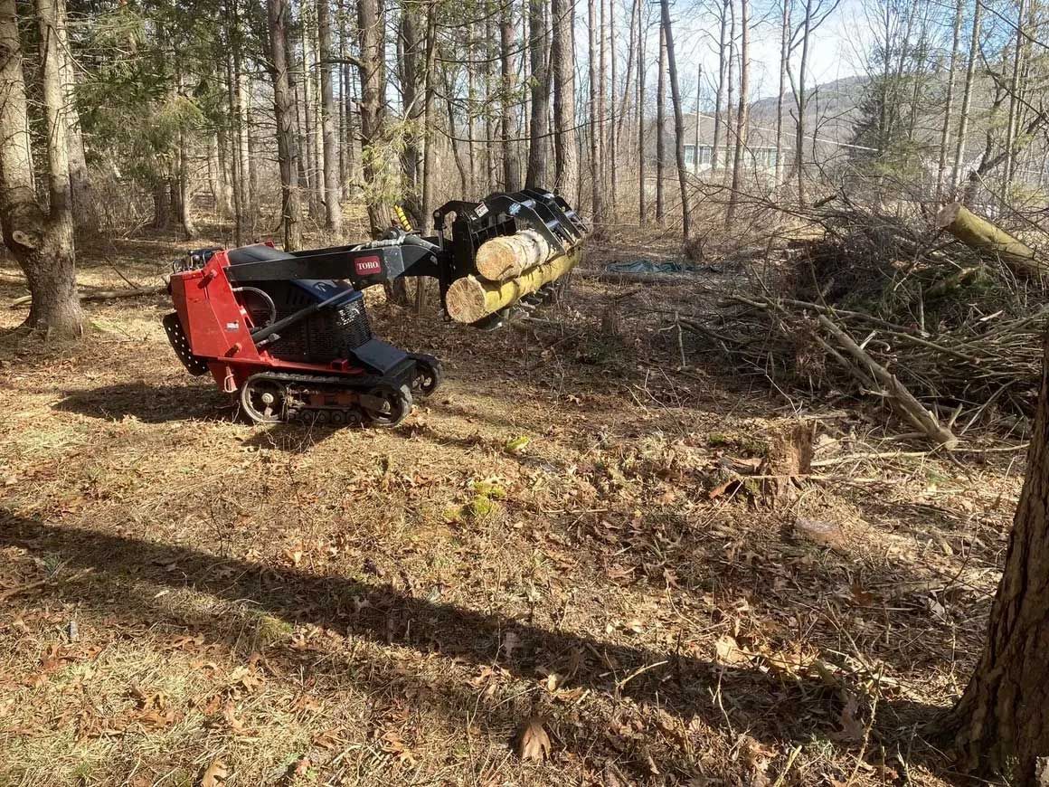 Tree & Brush Removal 7