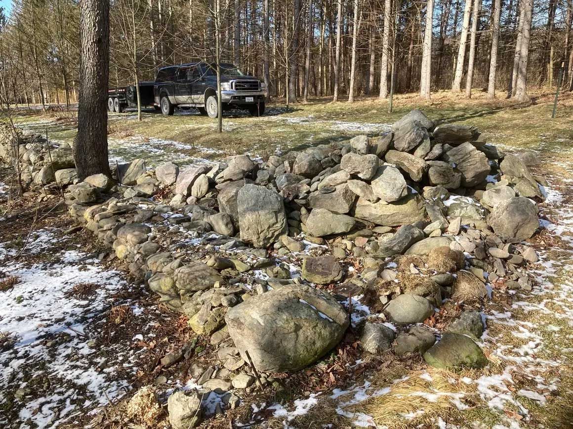 Tree & Brush Removal 8