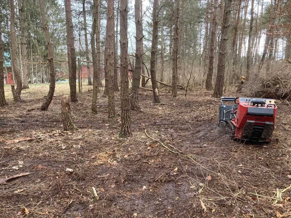 Tree & Brush Removal 9