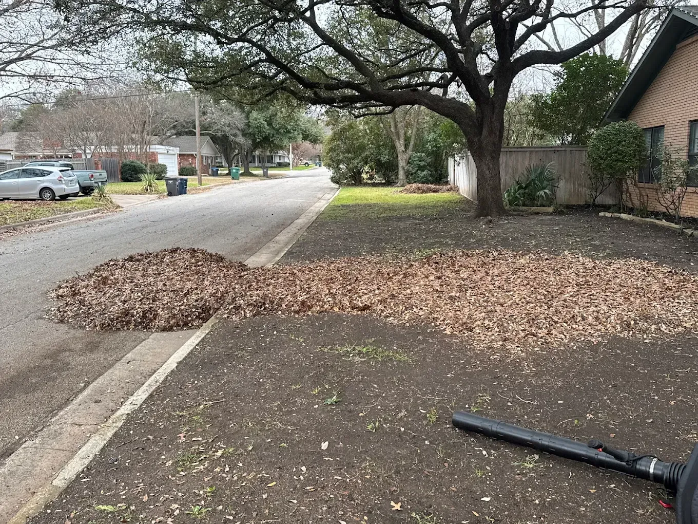 Leaves blown from lawn onto street curb. A leaf blower is visible.
