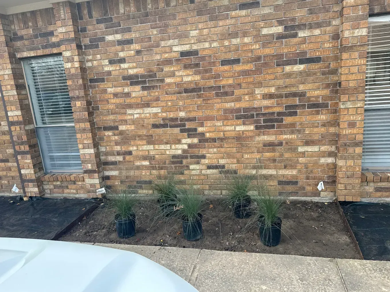Five potted plants in front of a brick building with two windows.