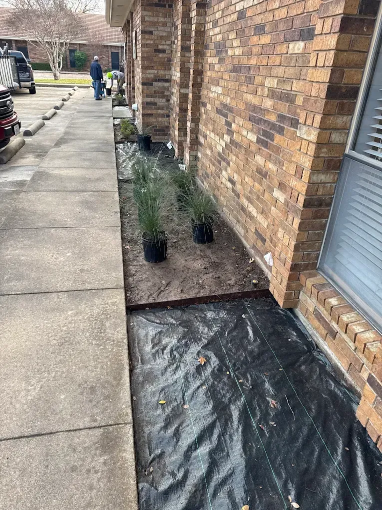 Sidewalk alongside brick building with new plants in pots, black weed barrier.