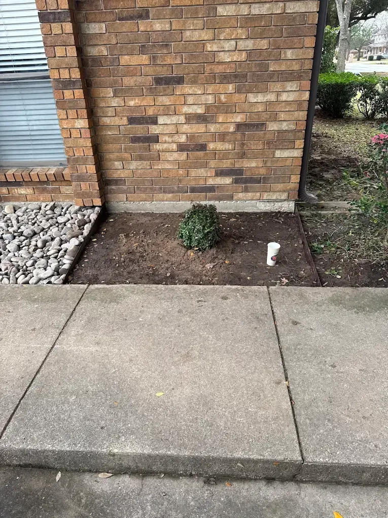 Brick building exterior with a small bush in a newly mulched bed, next to a sidewalk.