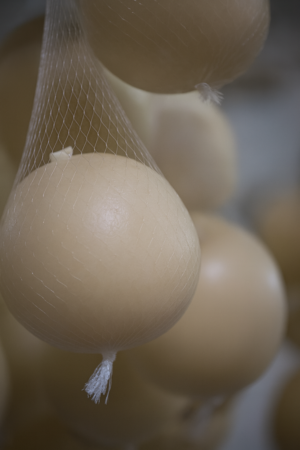 Palline di formaggio rotonde, di colore marrone chiaro, appese a una rete a maglie, probabilmente in un negozio di formaggi.