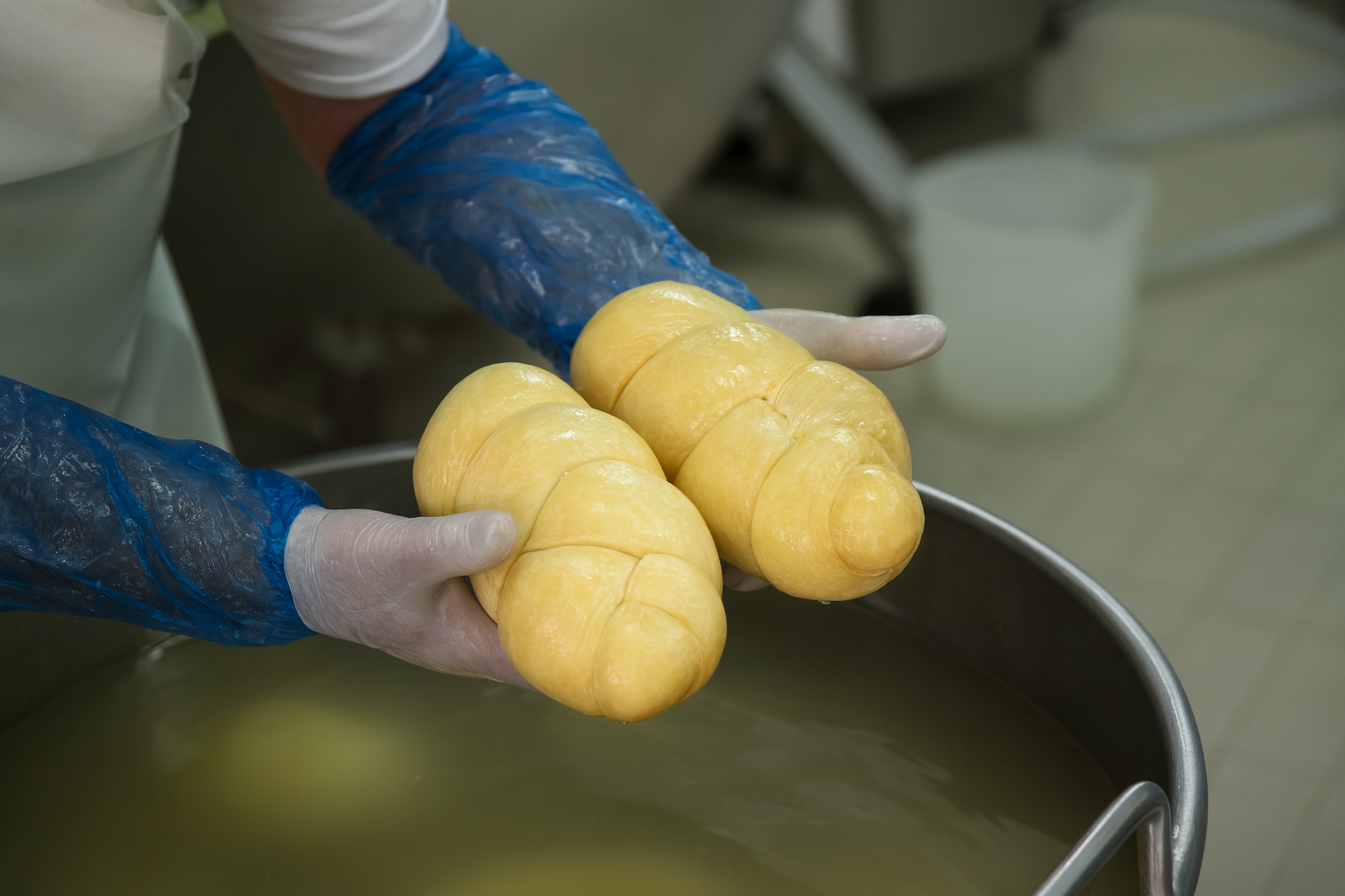 Persona che tiene due forme di formaggio giallo sopra una vasca in un ambiente di produzione alimentare.