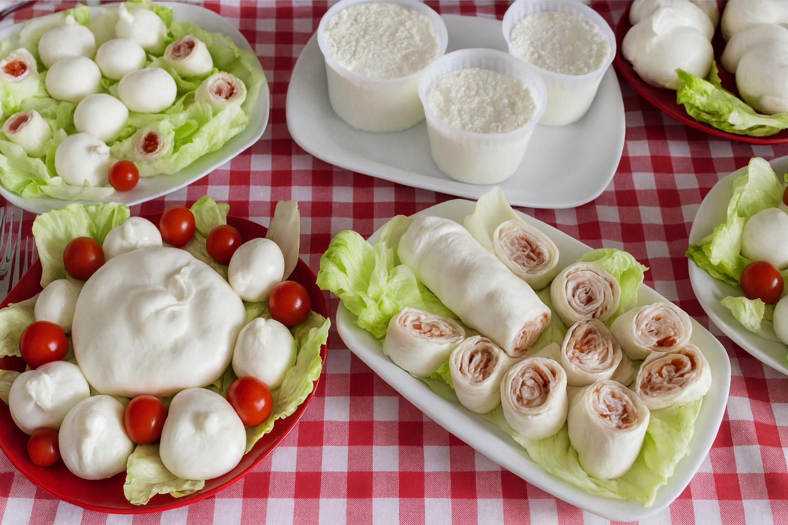Vari formaggi italiani su un panno a quadretti rossi: burrata, mozzarella, ricotta e pomodorini.