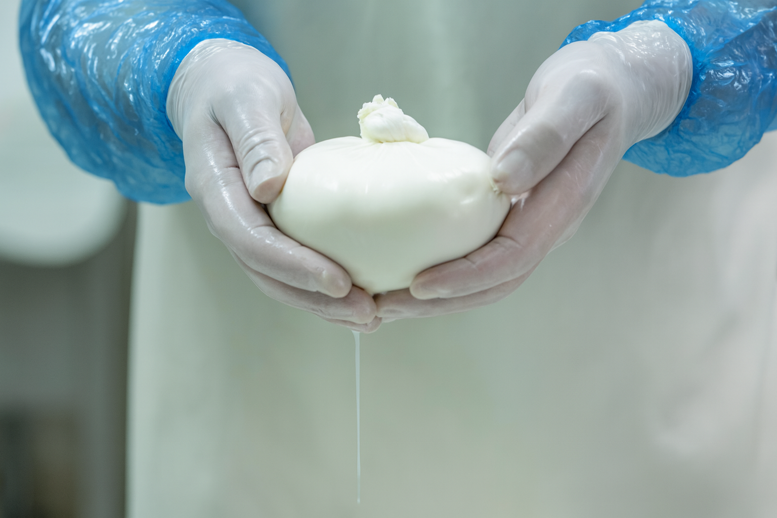 Mani nei guanti che tengono mozzarella fresca, con il siero che gocciola.