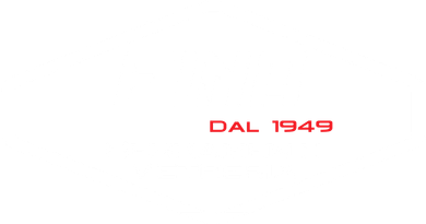 logo fina serramenti bianco