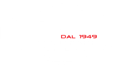 logo fina serramenti bianco