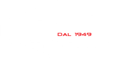 logo fina serramenti bianco