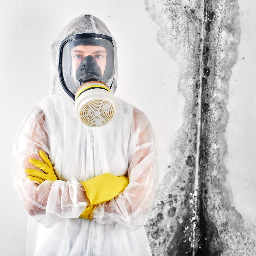 a person finding mold behind behind a box