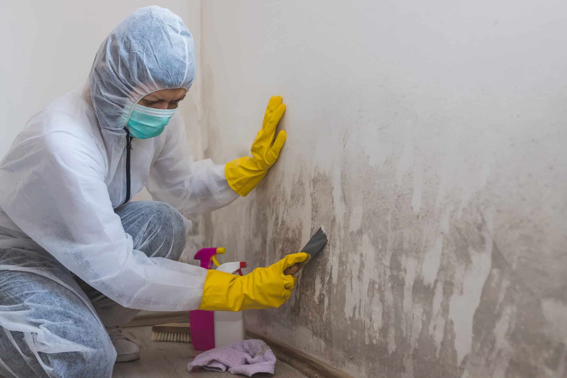 Thorough Mold Inspections with Pure Maintenance Tucson