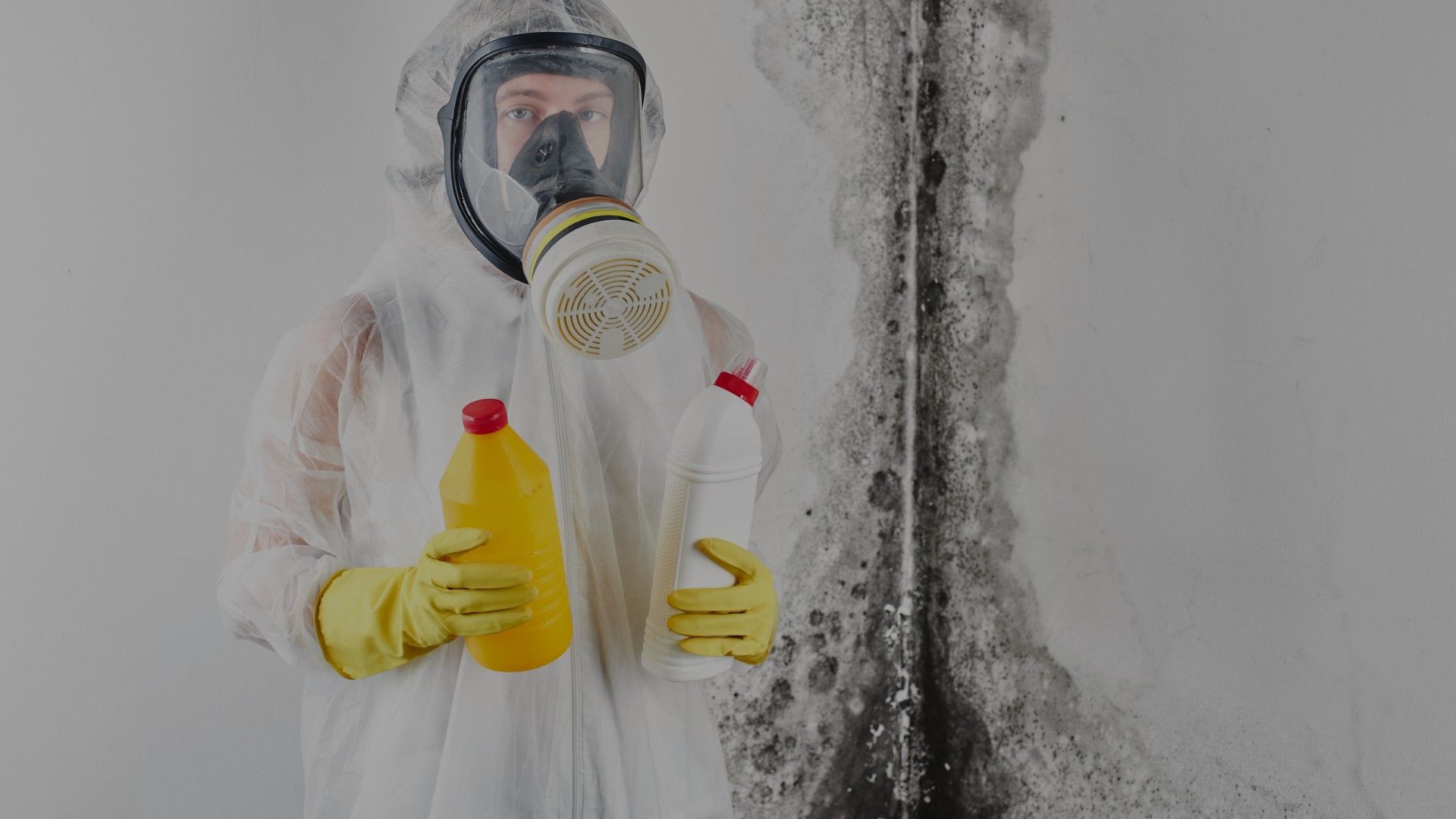 The Dangers of DIY Mold Removal