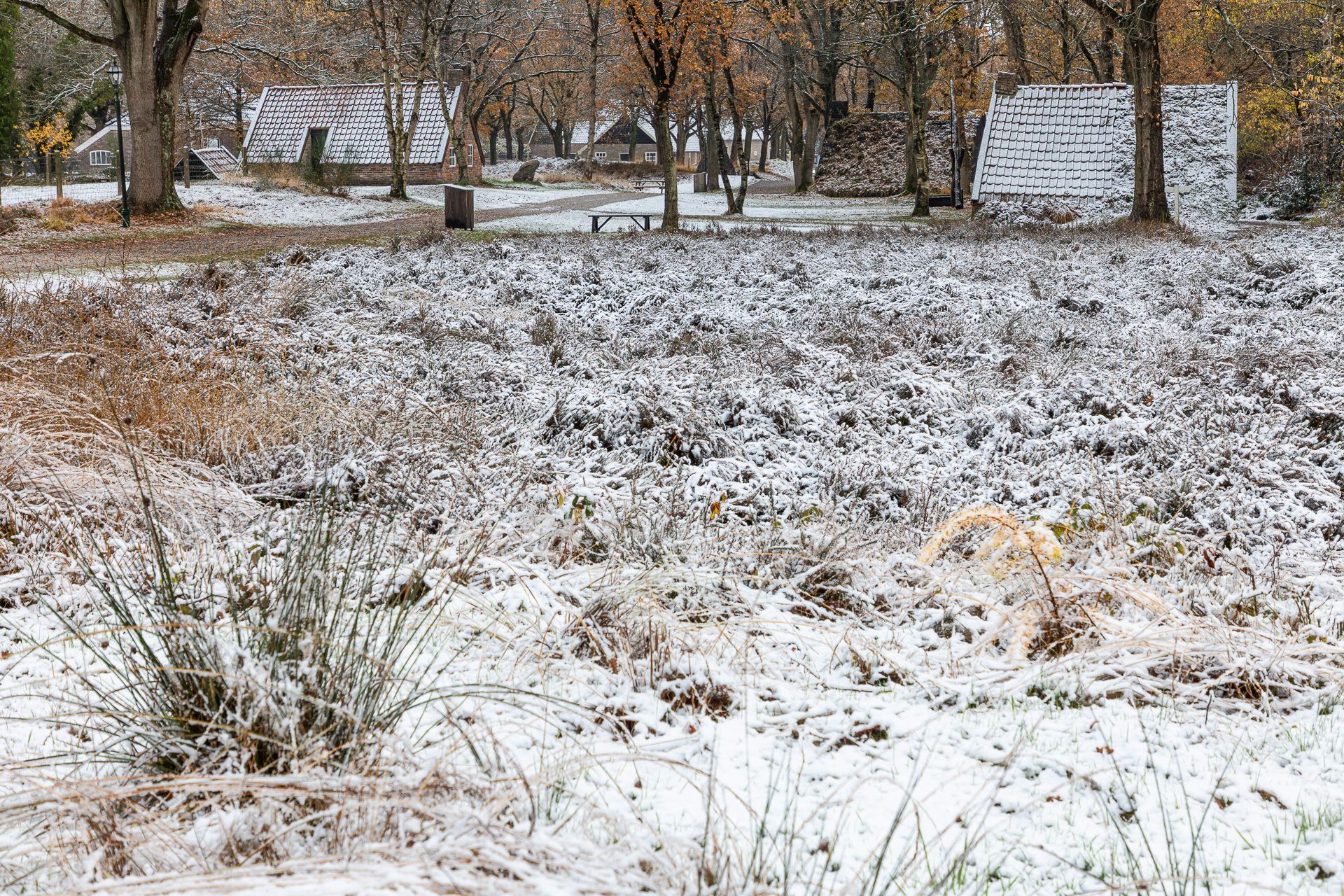 Geopark gem. Coevorden
