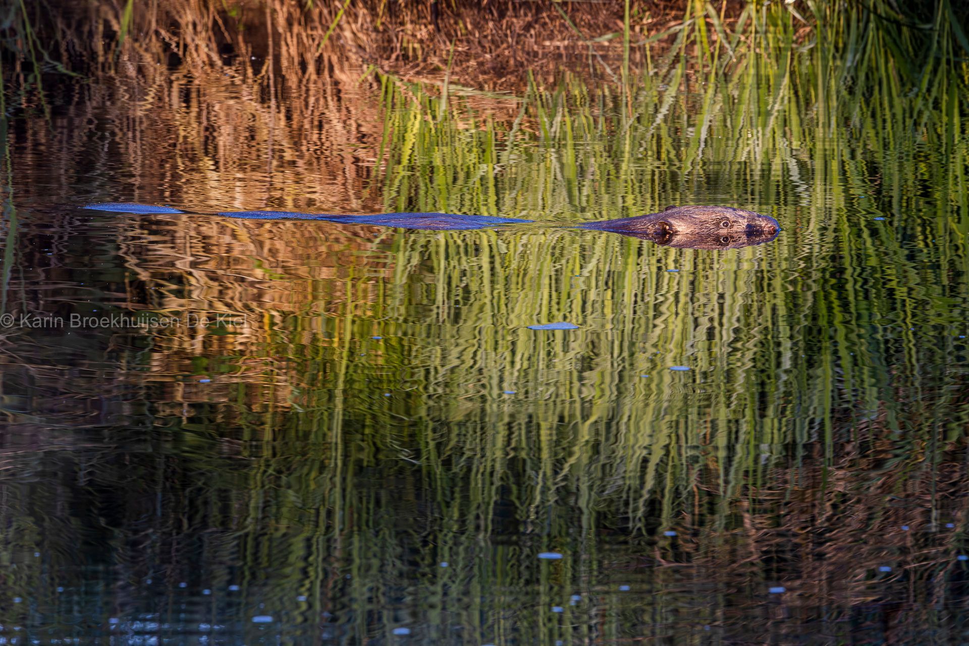 Geopark gem. Aa en Hunze
