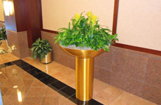 Plant in a Gold Vase — Professional Planting and Design in Warren NJ