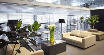 Plants inside a Office — Professional Planting and Design in Warren NJ