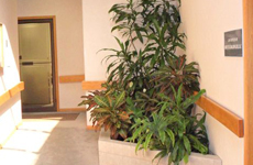 Plant in a Hallway — Professional Planting and Design in Warren NJ
