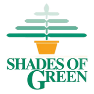 Shades of Green Shades of Green