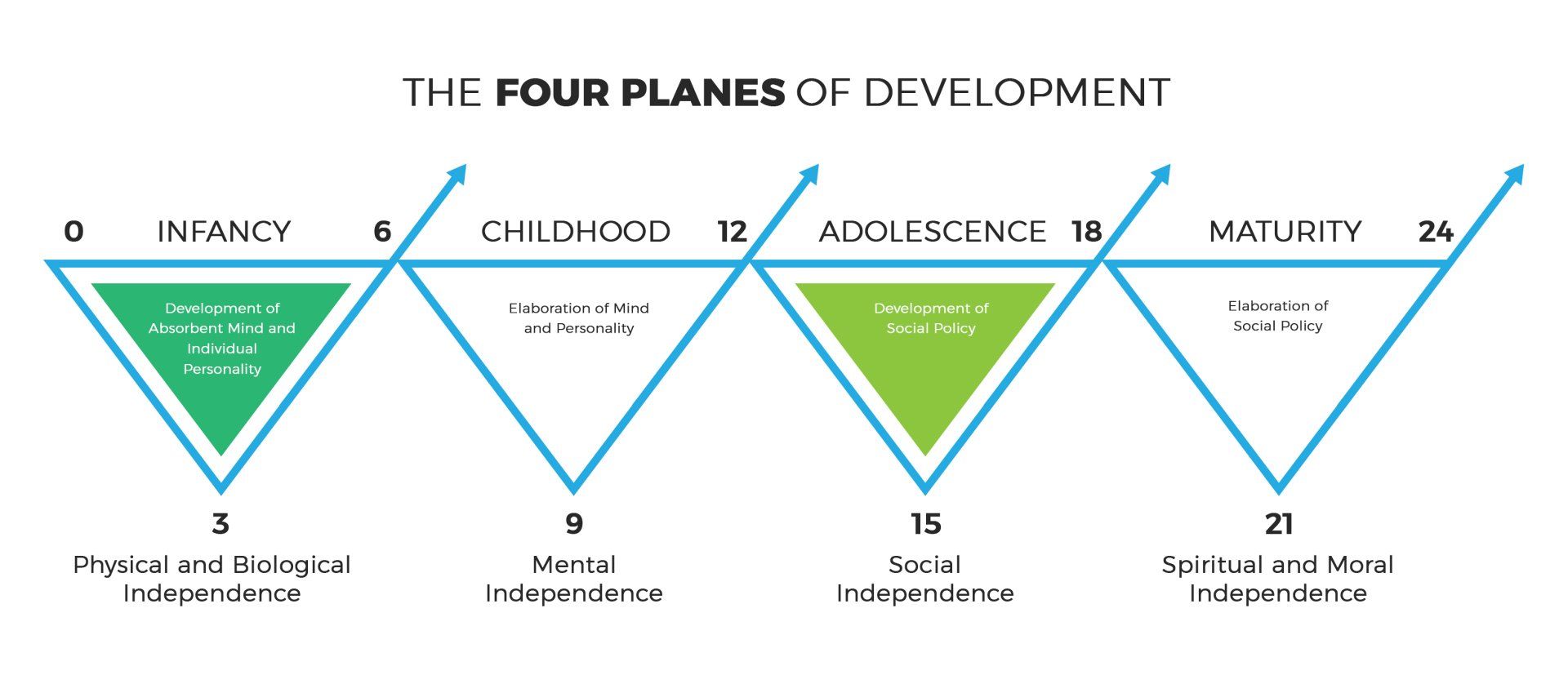 Diagram showing the four Montessori stages of development: infancy, childhood, adolescence, and maturity. Each stage is represented by a colored triangle.